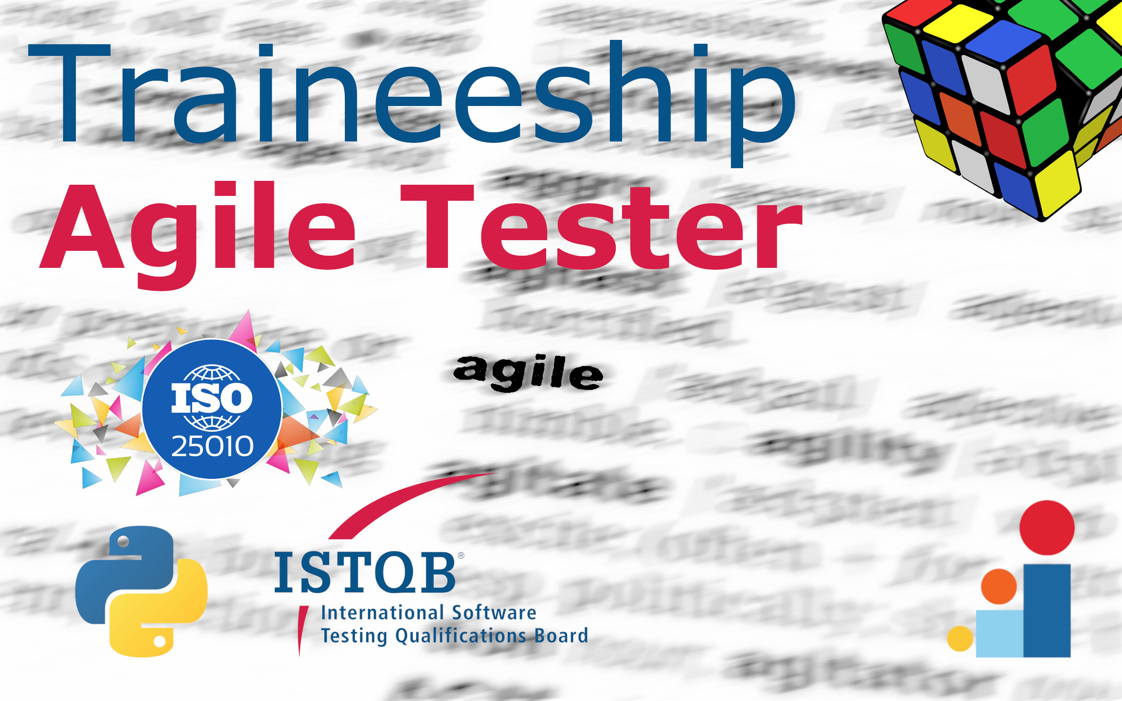 traineeship-agile-tester-blur